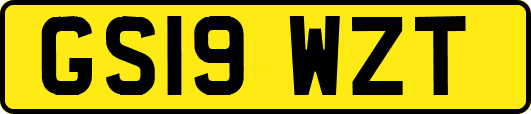 GS19WZT