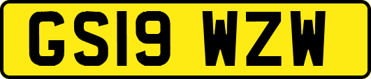 GS19WZW