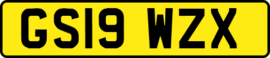 GS19WZX