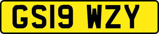 GS19WZY