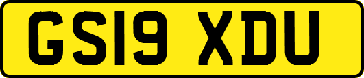 GS19XDU