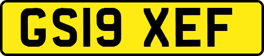 GS19XEF