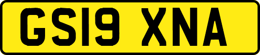 GS19XNA