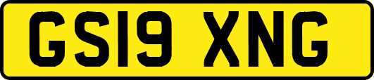 GS19XNG