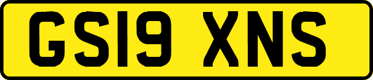 GS19XNS