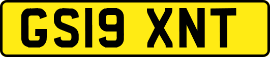 GS19XNT