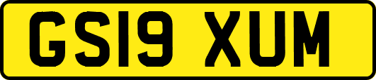 GS19XUM