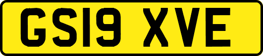 GS19XVE