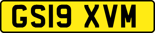 GS19XVM