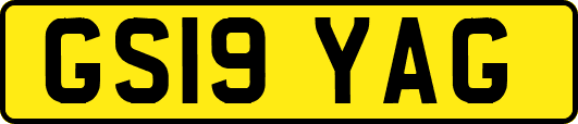 GS19YAG