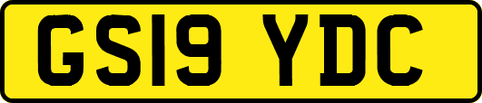 GS19YDC