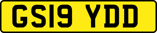 GS19YDD
