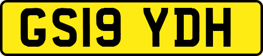 GS19YDH