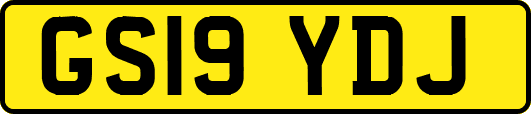 GS19YDJ