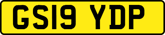 GS19YDP