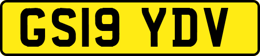GS19YDV