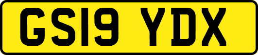 GS19YDX