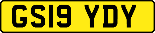GS19YDY