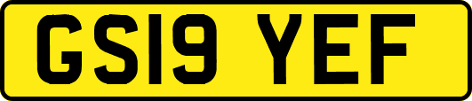 GS19YEF