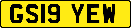 GS19YEW