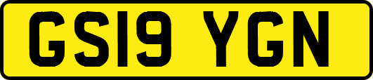 GS19YGN