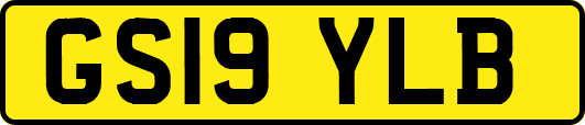 GS19YLB