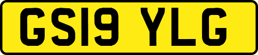 GS19YLG