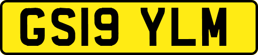 GS19YLM