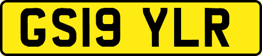 GS19YLR