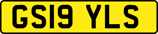 GS19YLS