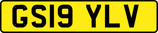 GS19YLV