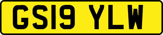 GS19YLW