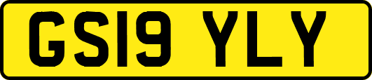 GS19YLY