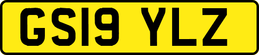 GS19YLZ