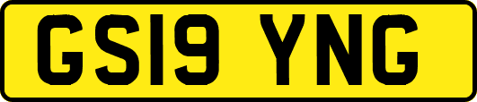 GS19YNG