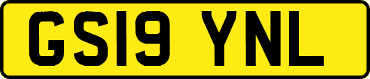 GS19YNL