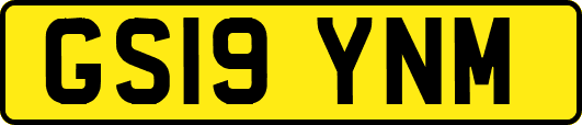 GS19YNM