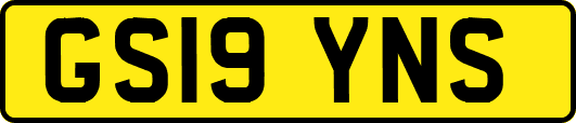 GS19YNS