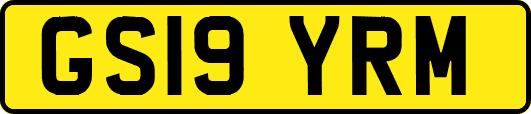 GS19YRM