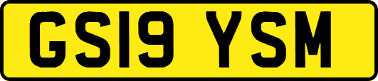 GS19YSM