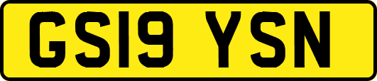 GS19YSN