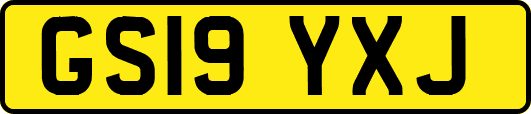 GS19YXJ