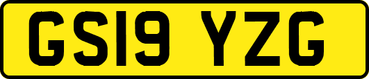 GS19YZG