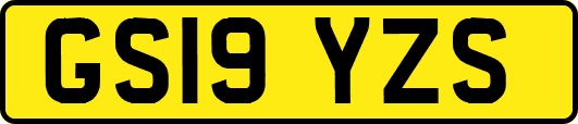 GS19YZS