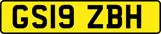 GS19ZBH