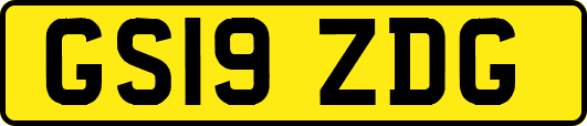 GS19ZDG