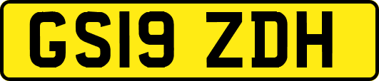 GS19ZDH