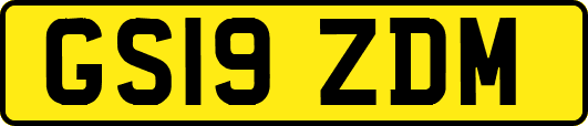 GS19ZDM
