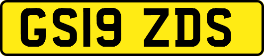 GS19ZDS