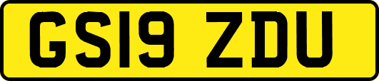 GS19ZDU